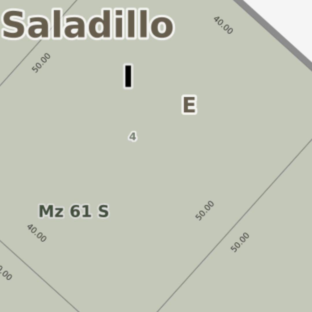 Foto de Terreno / Lote en venta de 2000m2 ubicado en Saladillo, imagen 2