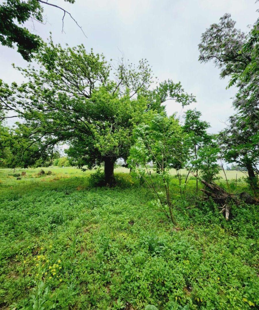Foto de Terreno / Lote en venta de 2719m2 ubicado en Cazón, imagen 2