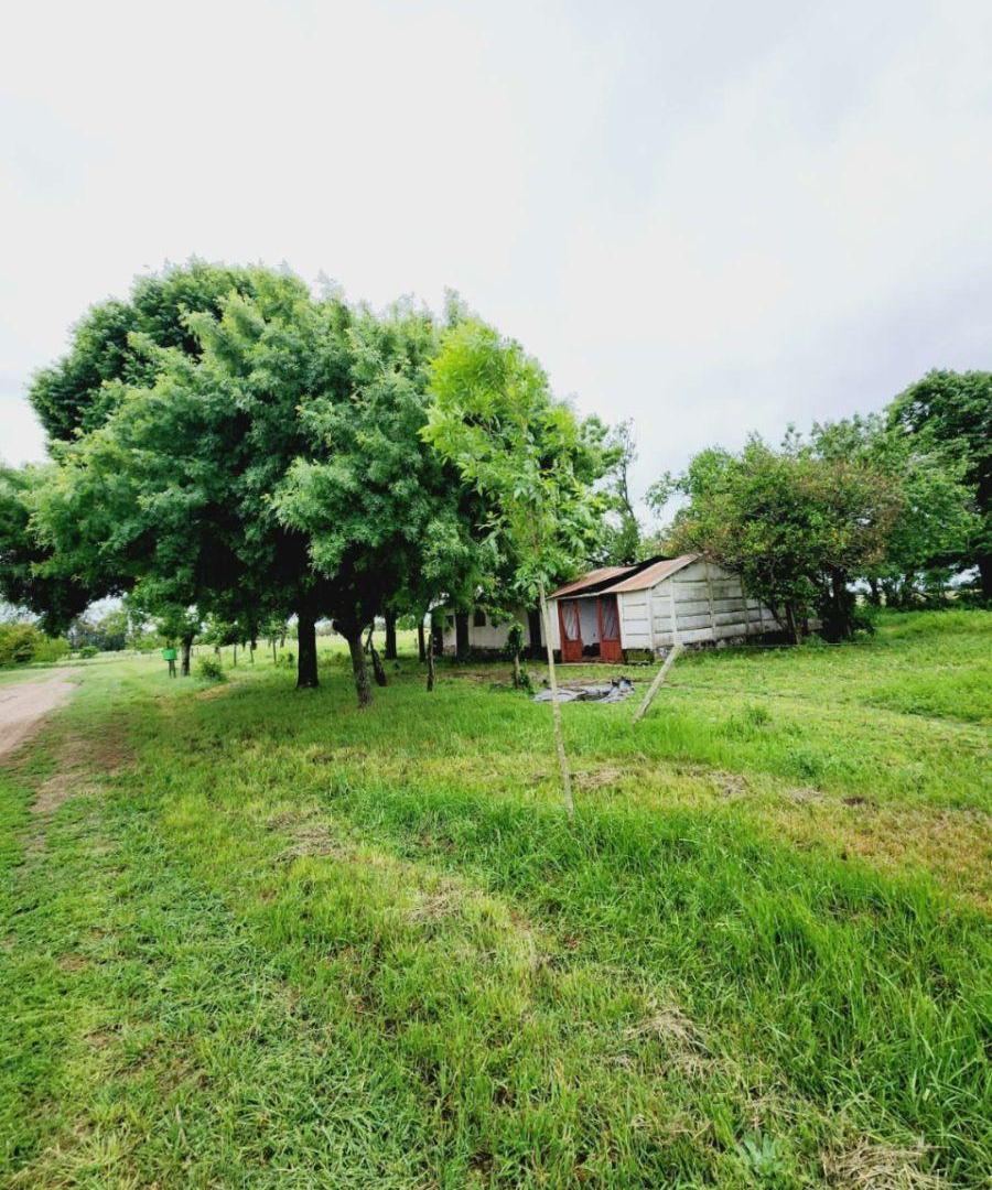 Foto de Terreno / Lote en venta de 2719m2 ubicado en Cazón, imagen 1