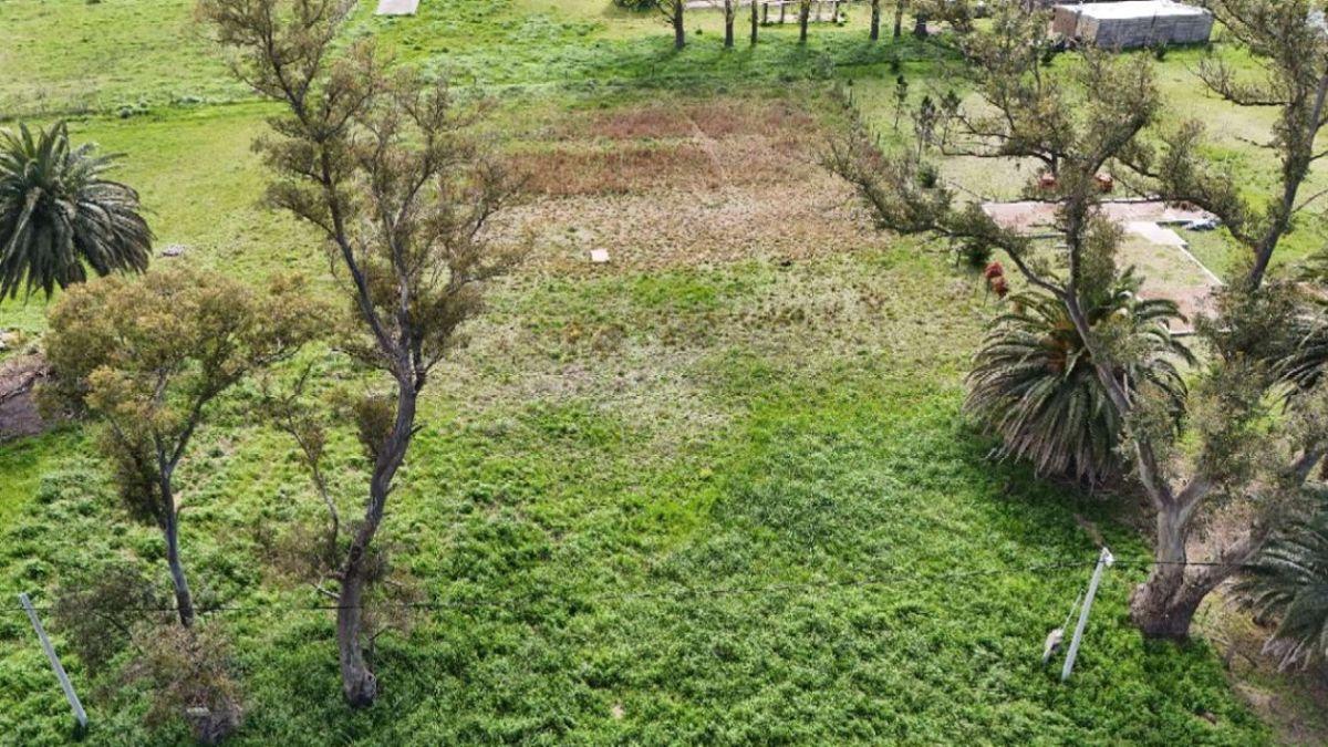 Foto de Terreno / Lote en venta de 2900m2 ubicado en Saladillo, imagen 2