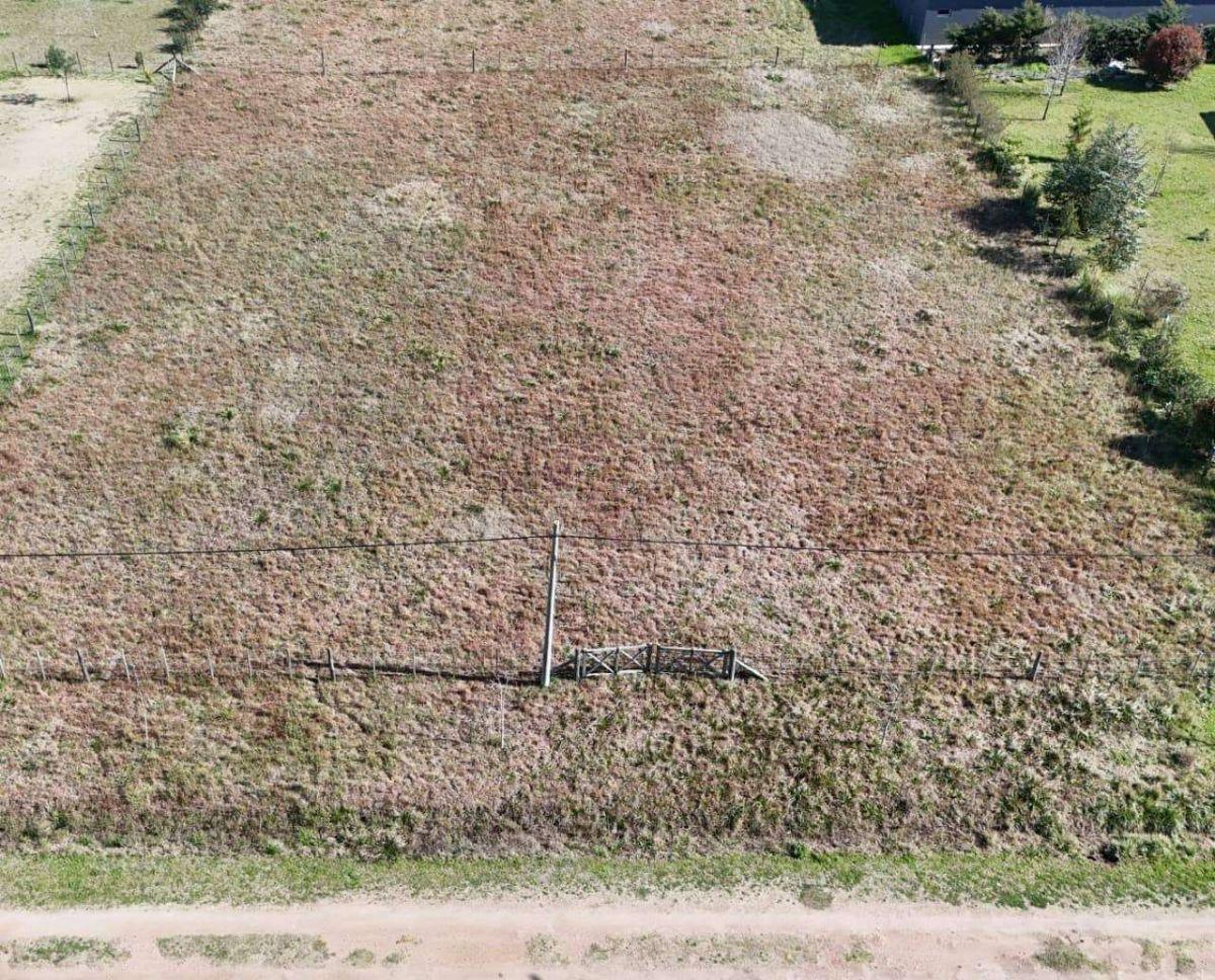 Foto de Terreno / Lote en venta de 2000m2 ubicado en Saladillo, imagen 3