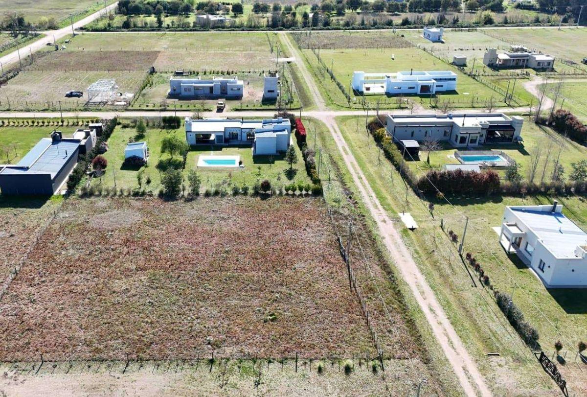 Foto de Terreno / Lote en venta de 2000m2 ubicado en Saladillo, imagen 1