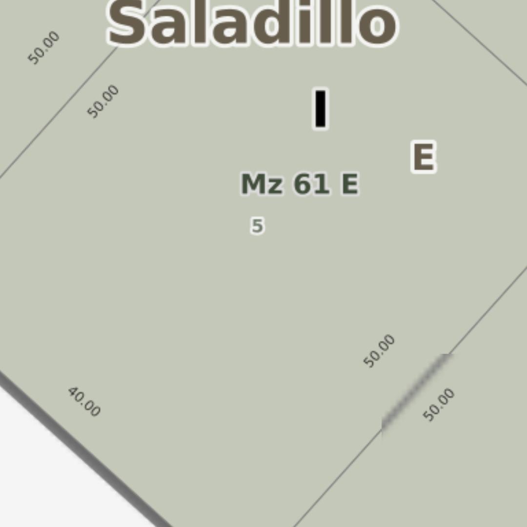 Foto de Terreno / Lote en venta de 2000m2 ubicado en Saladillo, imagen 4