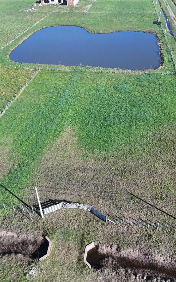 Foto de Terreno / Lote en venta de 2942m2 ubicado en Saladillo, imagen 3