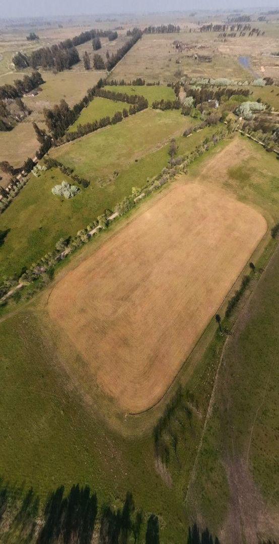 Foto de Campo en venta de 74ha ubicado en Ezeiza, imagen 2