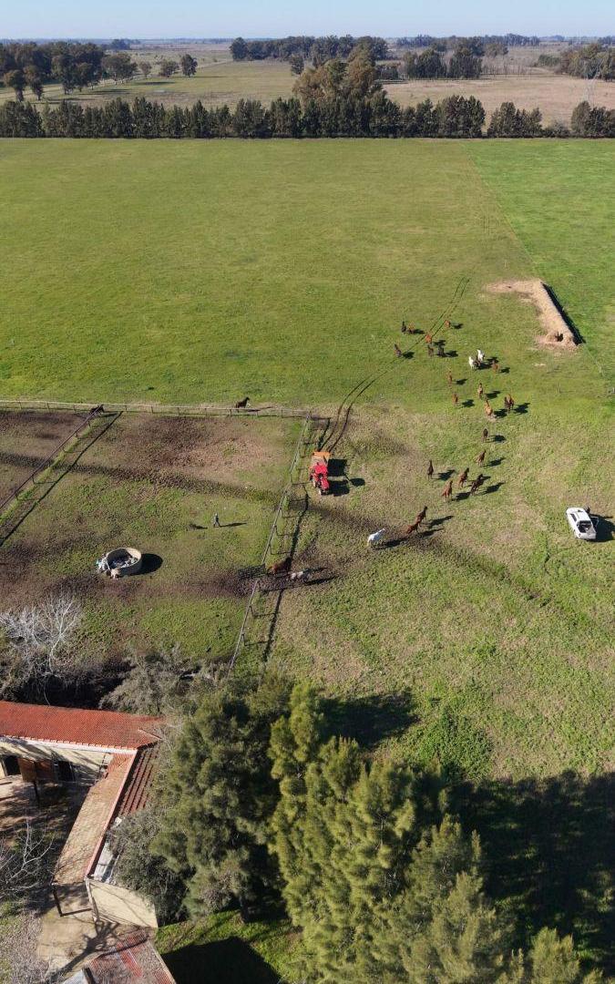 Foto de Campo en venta de 74ha ubicado en Ezeiza, imagen 3