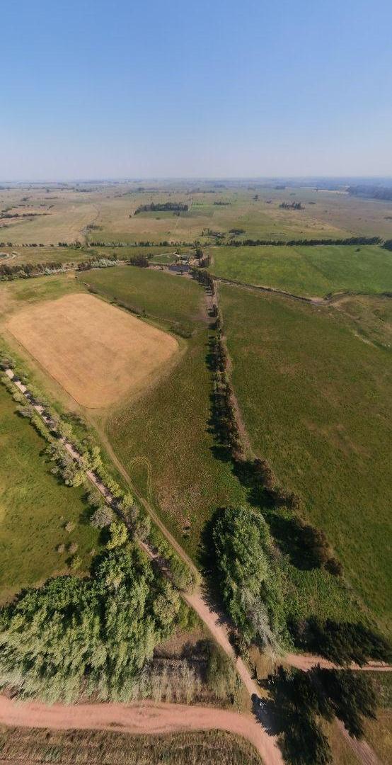 Foto de Campo en venta de 74ha ubicado en Ezeiza, imagen 4
