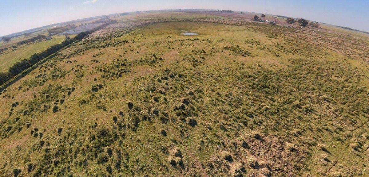Foto de Campo en venta de 4.38 Hectareas ubicado en Campos de Cañuelas, imagen 5