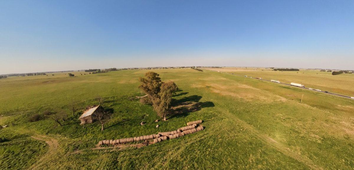 Foto de Campo en venta de 75m2 ubicado en Cañuelas, imagen 1