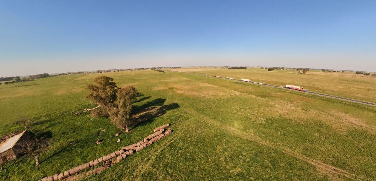 Foto de Campo en venta de 75m2 ubicado en Cañuelas, imagen 4