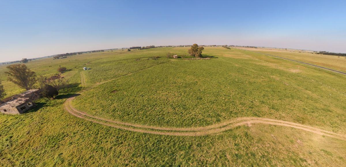 Foto de Campo en venta de 75m2 ubicado en Cañuelas, imagen 5