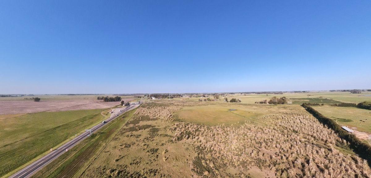 Foto de Campo en venta de 4.25ha ubicado en Campos de Cañuelas, imagen 5