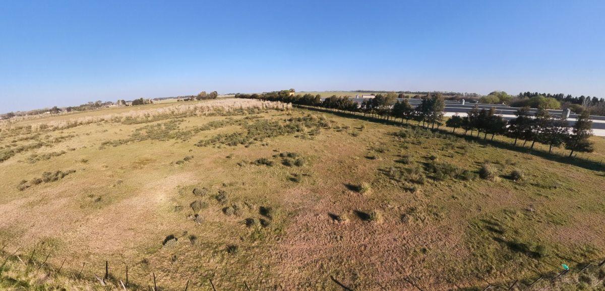 Foto de Campo en venta de 4.25ha ubicado en Campos de Cañuelas, imagen 2