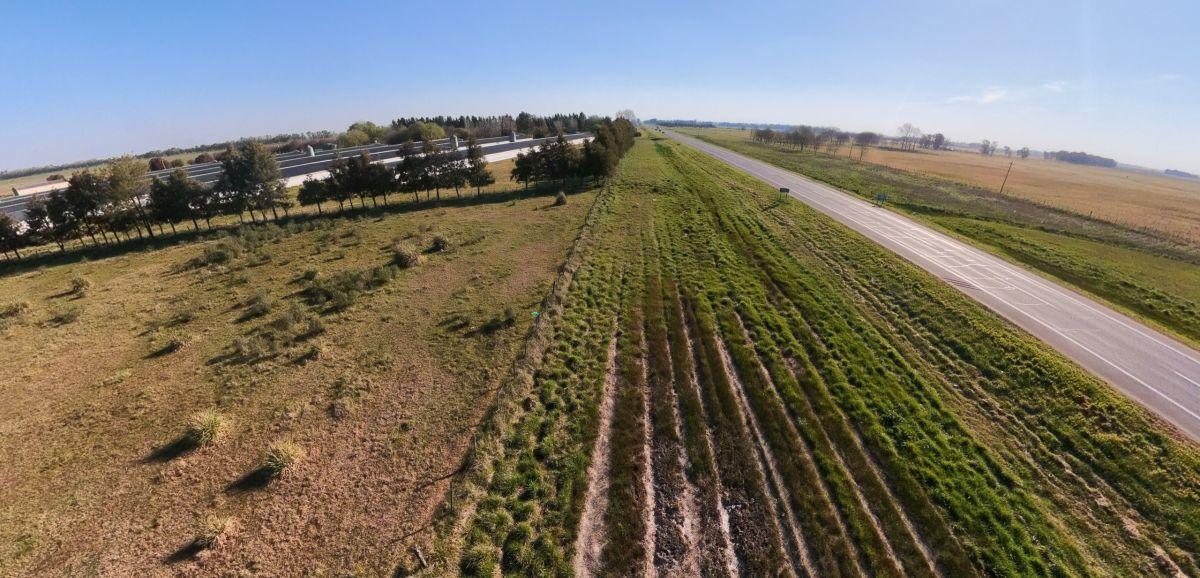 Foto de Campo en venta de 4.25ha ubicado en Campos de Cañuelas, imagen 4