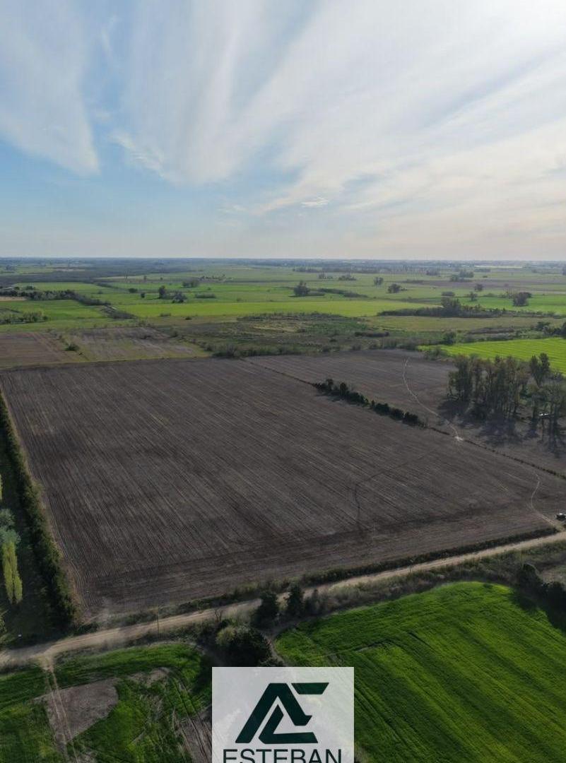 Foto de Campo en venta de 144694m2 ubicado en Gowland, imagen 1