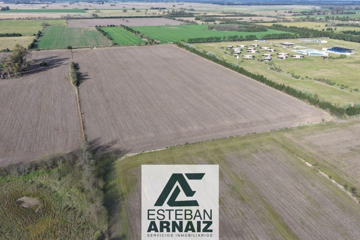 Foto de Campo en venta de 144694m2 ubicado en Gowland, imagen 5