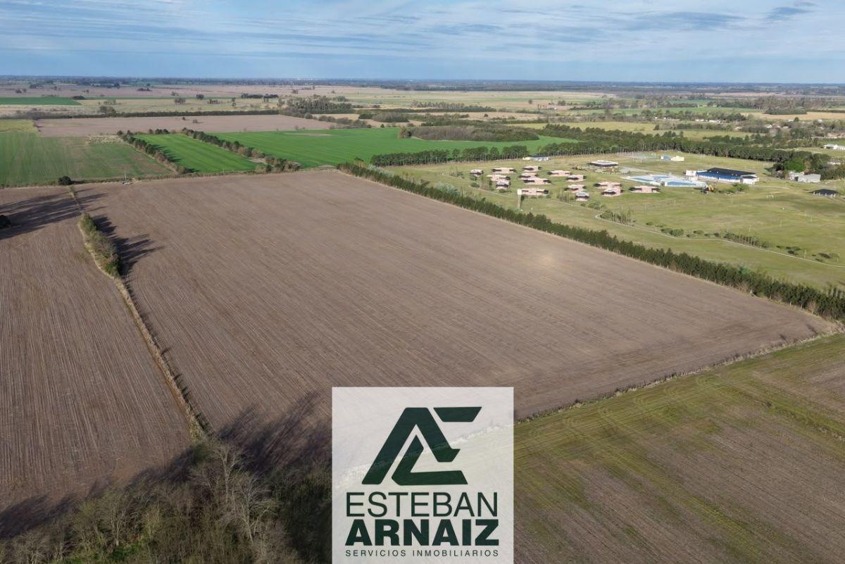 Foto de Campo en venta de 144694m2 ubicado en Gowland, imagen 4