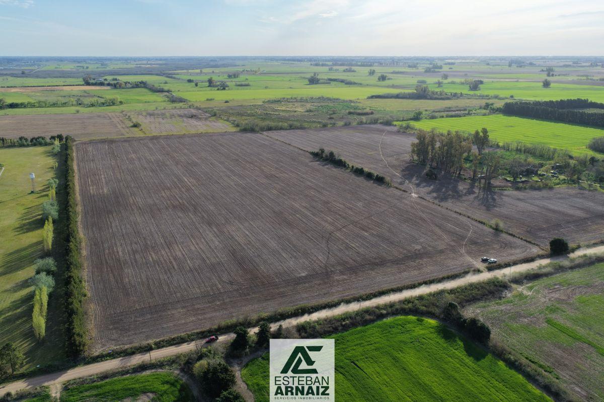 Foto de Campo en venta de 144694m2 ubicado en Gowland, imagen 3