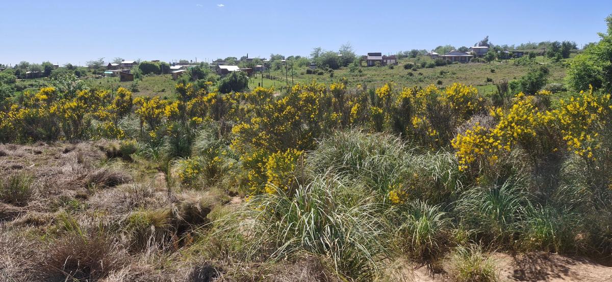 Oportunidad de Inversión! Terreno de 900 m², en Villa Yacanto de Calamuchita 1