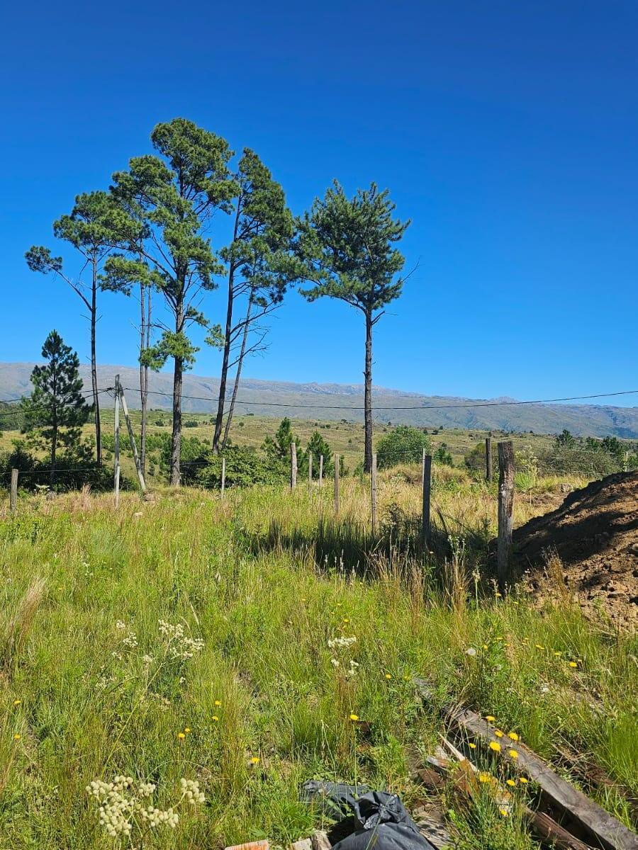 Oportunidad Única! Terreno de 489 m², en Yacanto de Calamuchita 3
