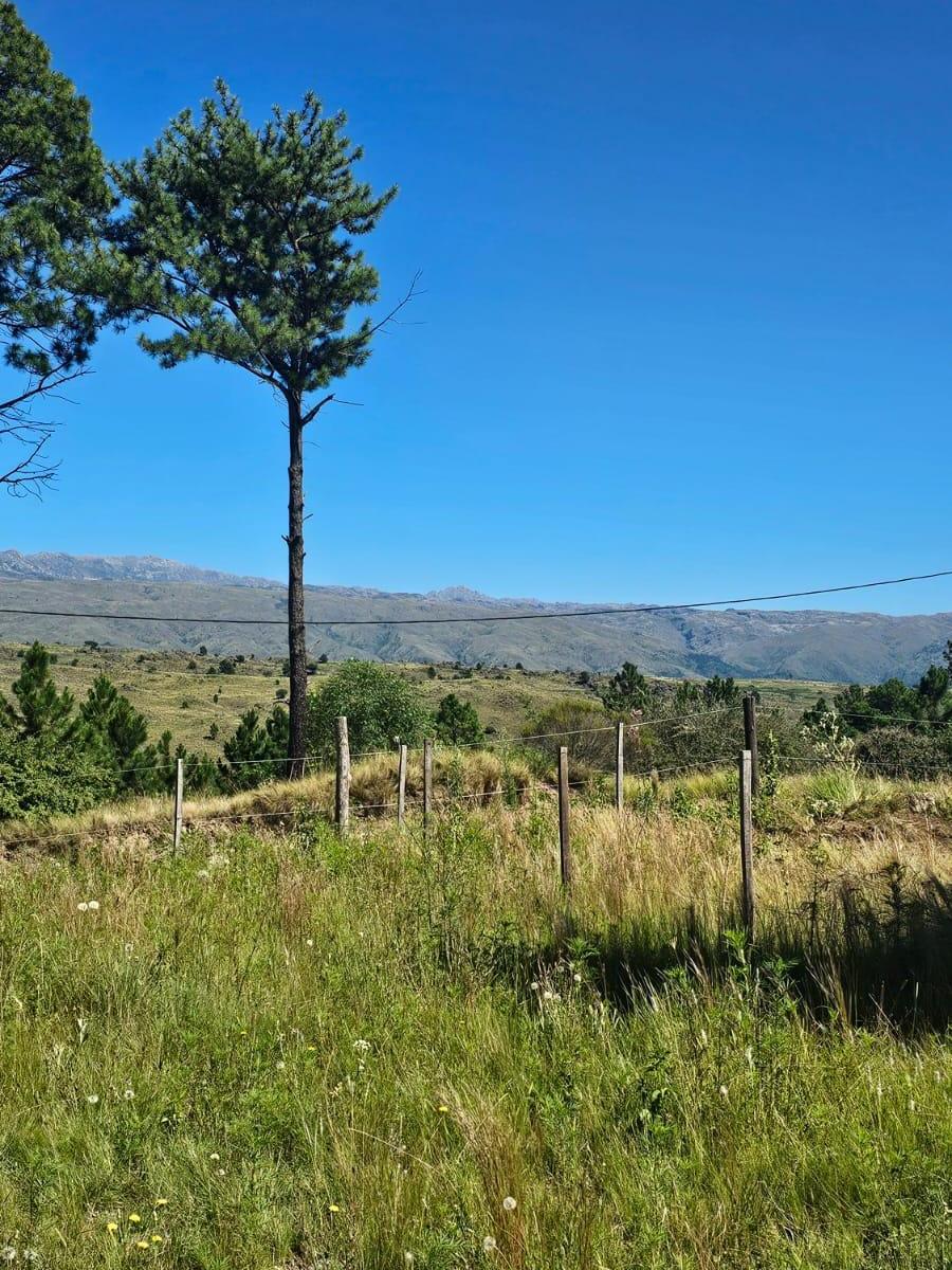 Oportunidad Única! Terreno de 489 m², en Yacanto de Calamuchita 4