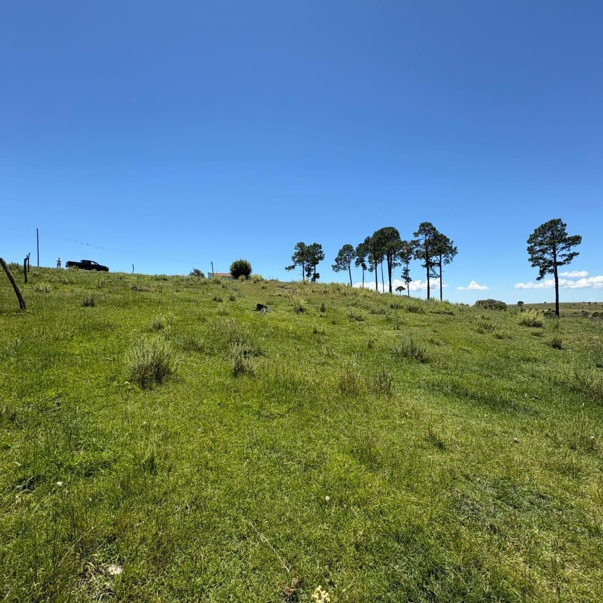 Terreno de 2500 m², Ideal Para Complejo de Cabañas! 2
