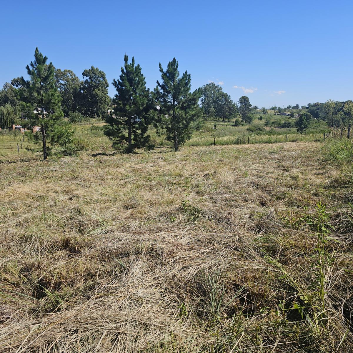 Oportunidad Excelente! Terreno de 1367 m², con Alambrado 5