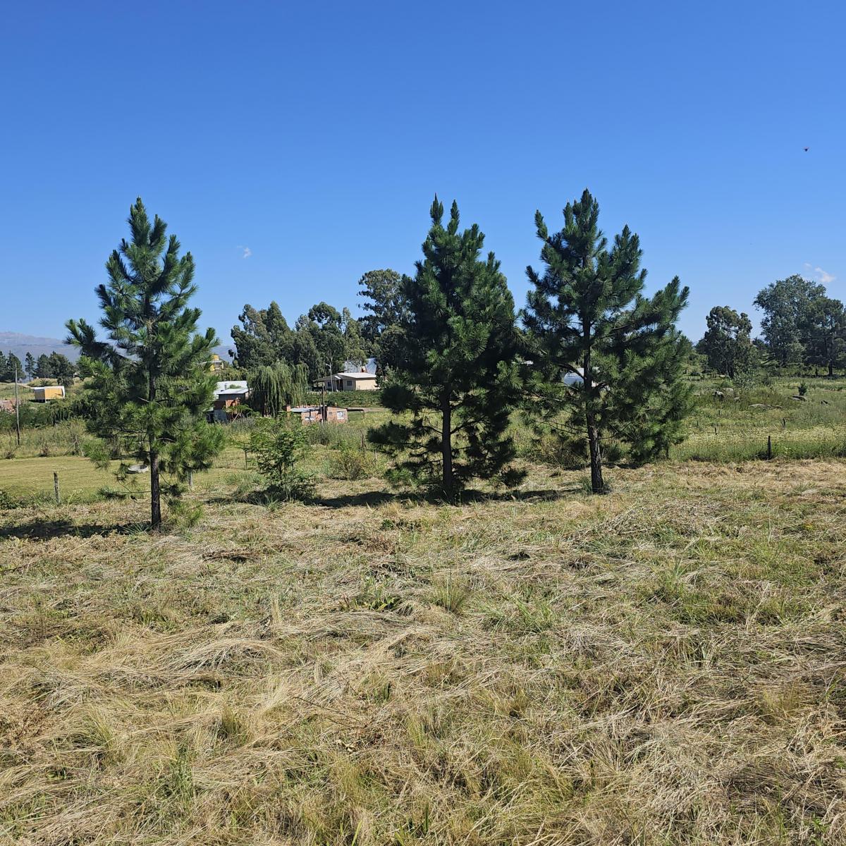 Oportunidad Excelente! Terreno de 1367 m², con Alambrado 2