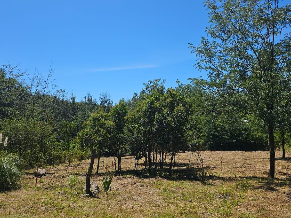 Oportunidad Increíble! 2 Terrenos de 300 m². Ubicación Única! 4