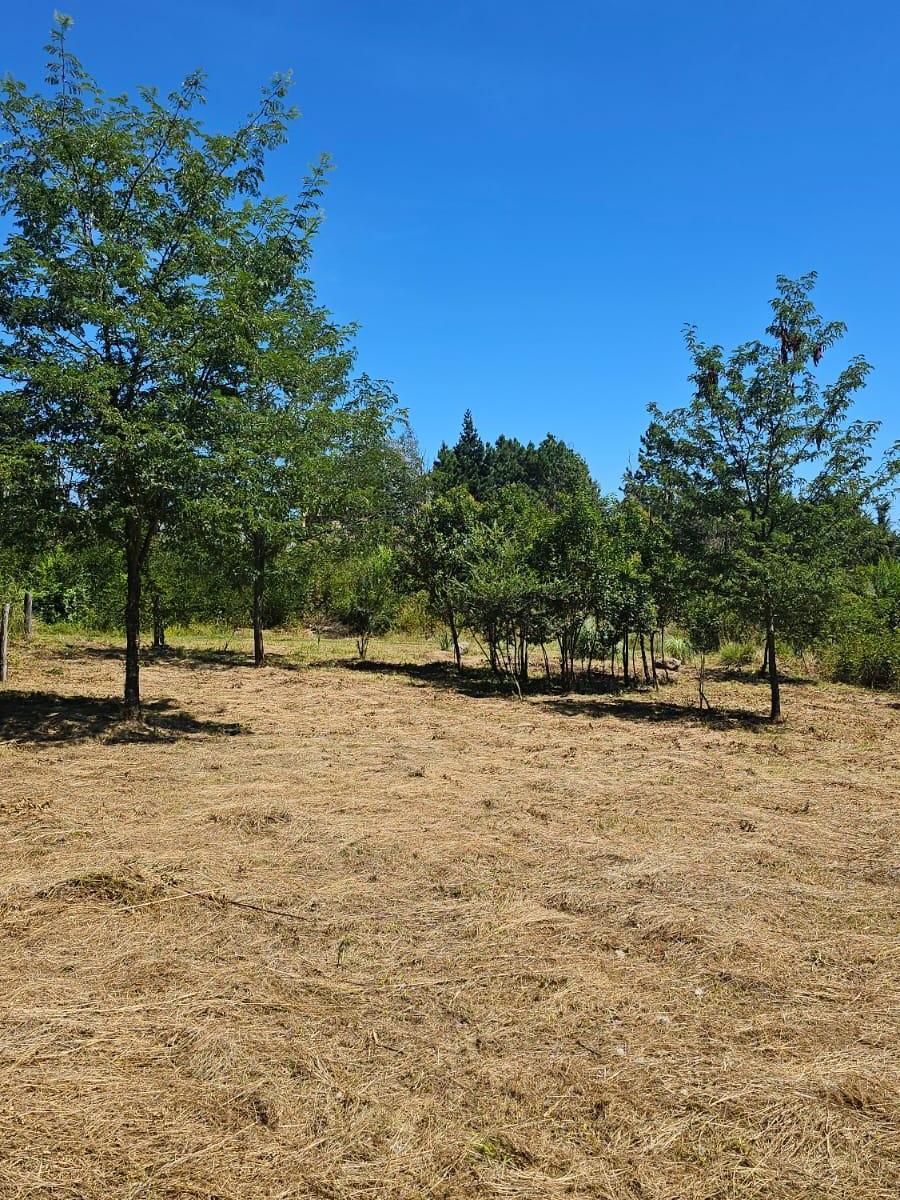 Oportunidad Increíble! 2 Terrenos de 300 m². Ubicación Única! 3