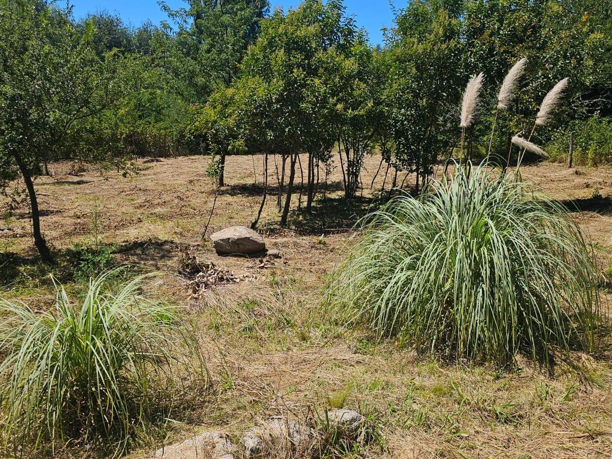 Oportunidad Increíble! 2 Terrenos de 300 m². Ubicación Única! 1