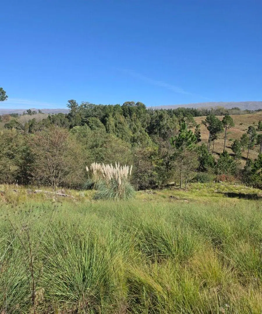 Terreno de 900 m2, ubicado en Villa Yacanto 4