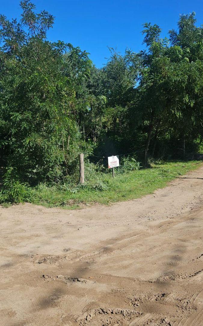 Foto de Terreno 900 m2, ideal Complejo de Locales, imagen 4