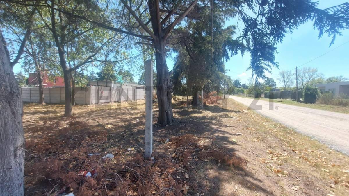 490 entre 137 y 138, Terreno en Venta, Joaquin Gorina.-