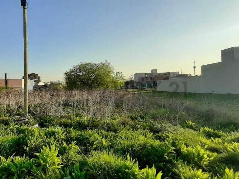 141 entre 36 y 37, Lote en Venta, San Carlos .-