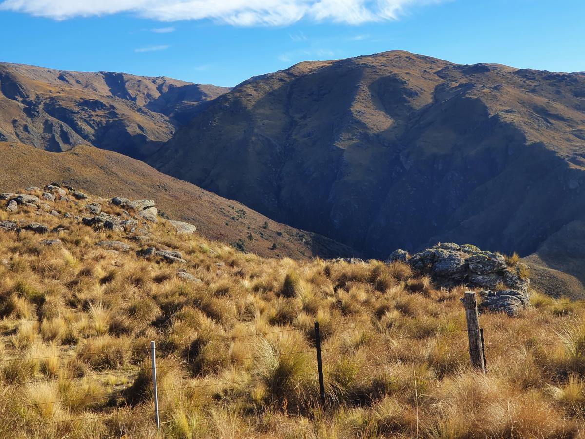 75 Has Venta Los Linderos Costa Río El Durazno Gran Vista 3