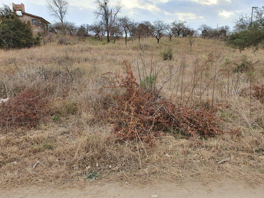 Lote Venta Santa Rosa De Calamuchita Sector Santa Mónica