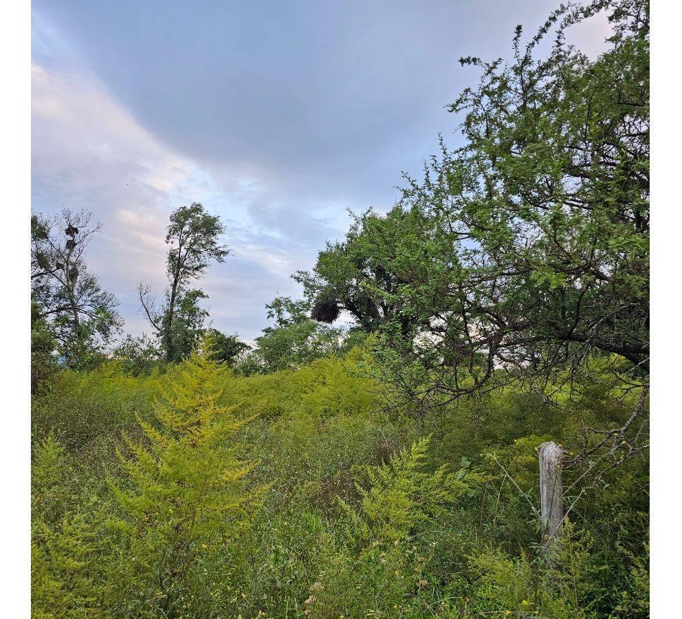 Foto de Lote Venta San Ignacio Calamuchita Loteo Vélez Crespo Exclusivo A 200, imagen 2
