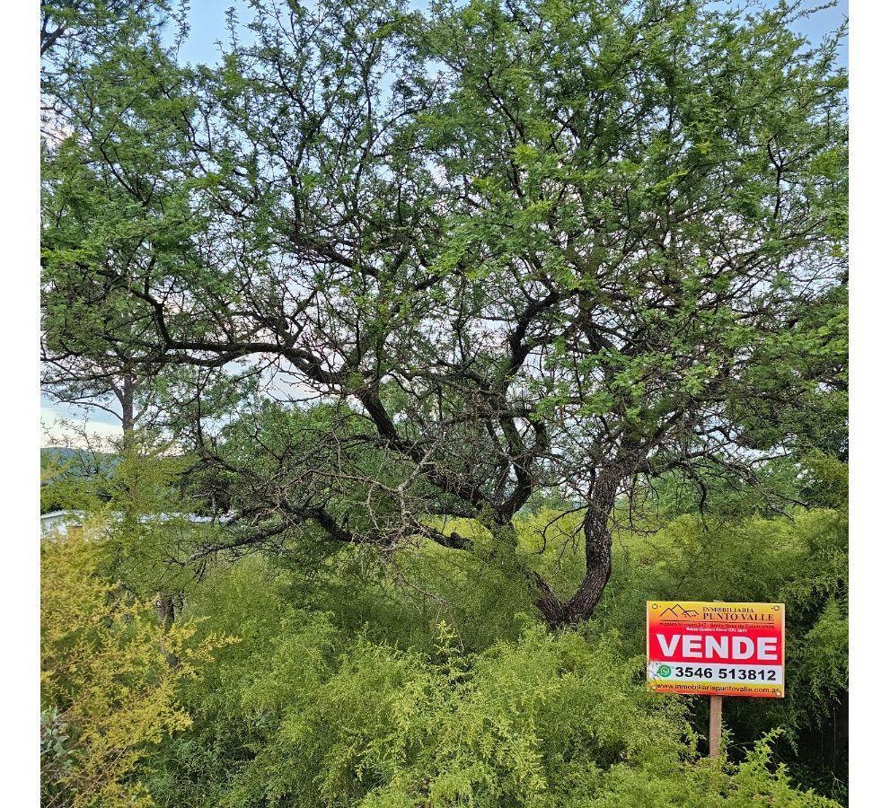 Foto de Lote Venta San Ignacio Calamuchita Loteo Vélez Crespo Exclusivo A 200, imagen 1