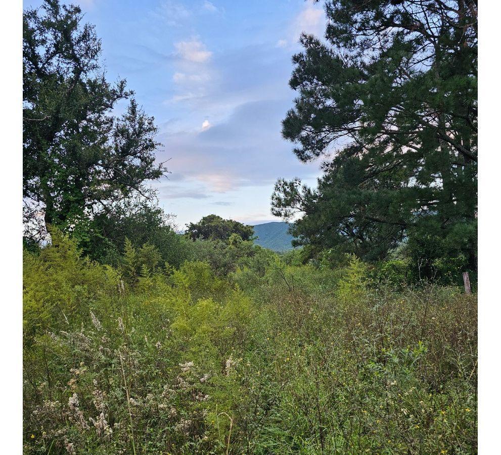 Foto de Lote Venta San Ignacio Calamuchita Loteo Vélez Crespo Exclusivo A 200, imagen 4