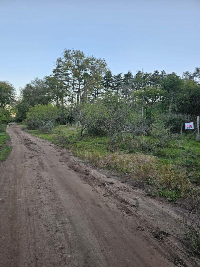 Foto de 4 Lotes juntos contiguos Venta El Parador De La Montaña Luz Agua Puerta, imagen 2