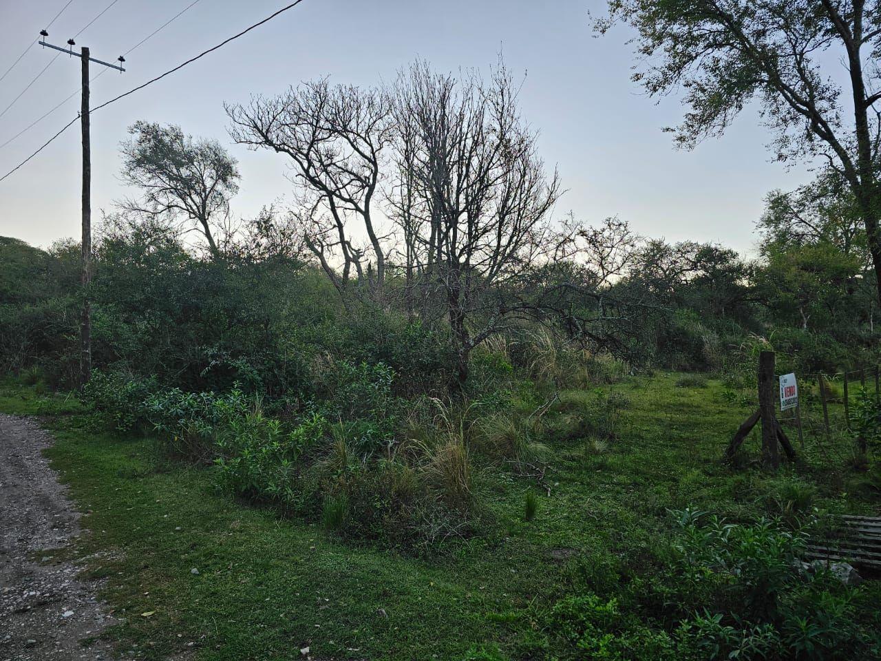 Foto de 4 Lotes juntos contiguos Venta El Parador De La Montaña Luz Agua Puerta, imagen 1