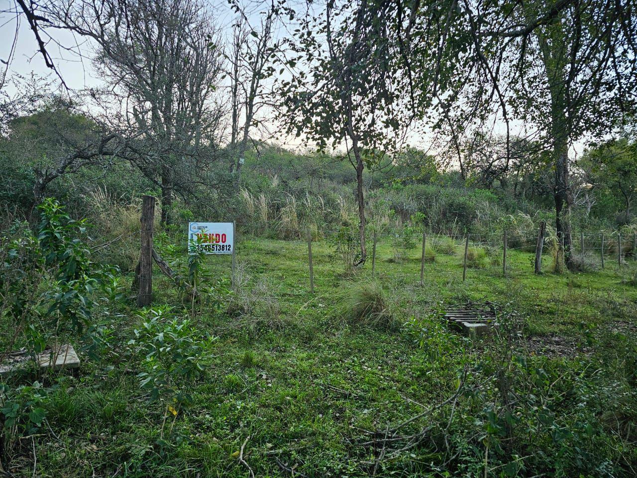 Foto de 4 Lotes juntos contiguos Venta El Parador De La Montaña Luz Agua Puerta, imagen 3