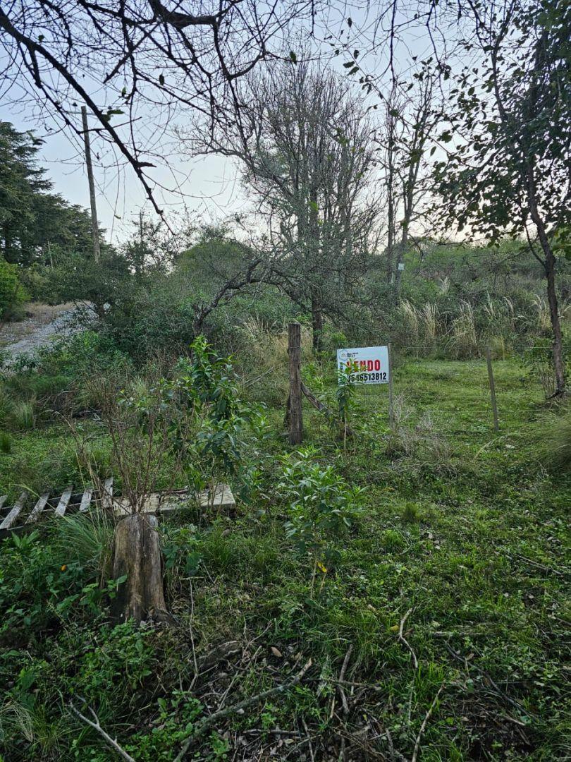 Foto de 4 Lotes juntos contiguos Venta El Parador De La Montaña Luz Agua Puerta, imagen 4