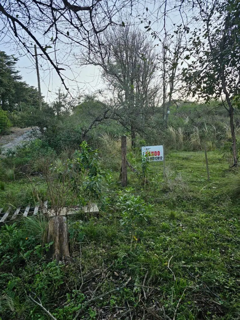 4 Lotes juntos contiguos Venta El Parador De La Montaña Luz Agua Puerta Vistas 4