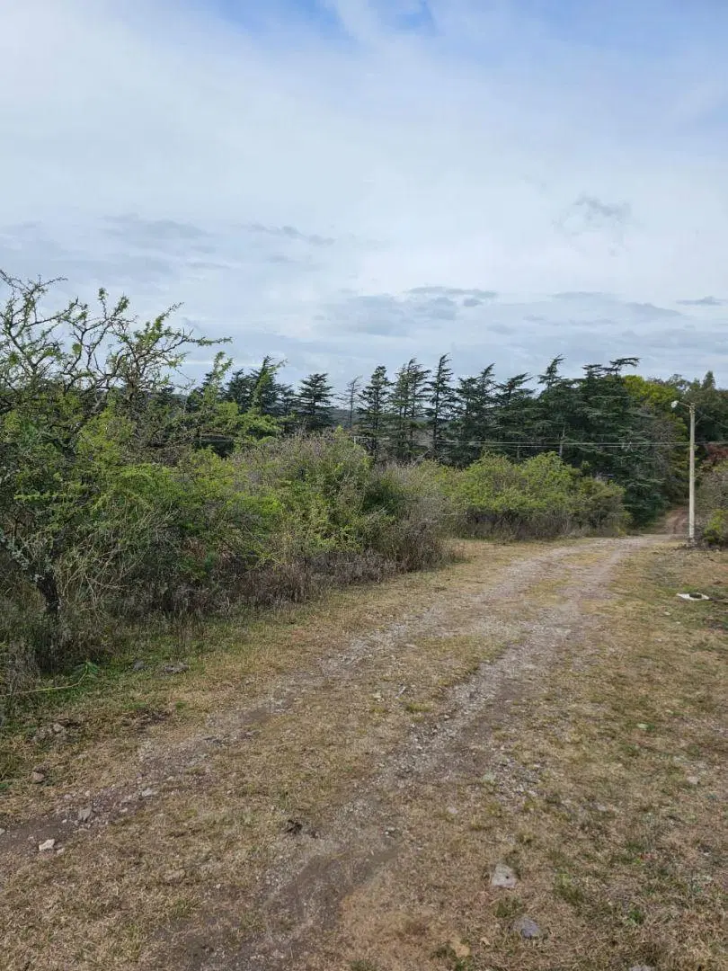 5 Lotes juntos contiguos Venta El Parador De La Montaña Luz Agua Puerta Vistas 3