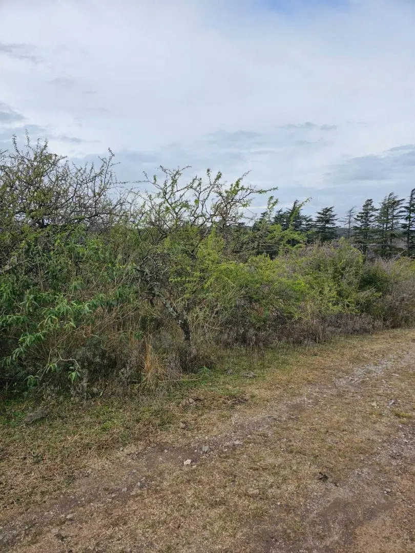 5 Lotes juntos contiguos Venta El Parador De La Montaña Luz Agua Puerta Vistas 5