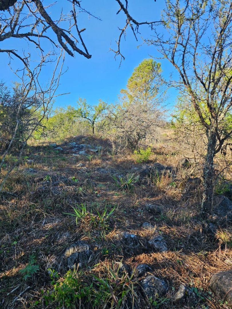 Foto de Lote Venta Santa Rosa de Calamuchita B° La Rinconada 3700 m² 50 mts Rio, imagen 3