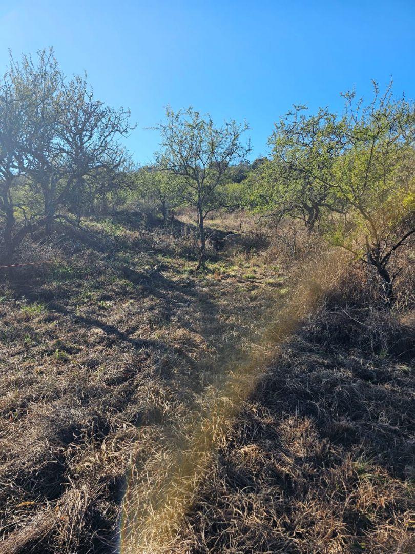 Foto de Lote Venta Santa Rosa de Calamuchita B° La Rinconada 3700 m² 50 mts Rio, imagen 4