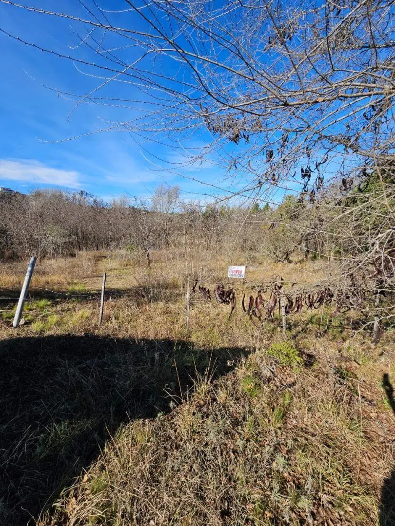 3 Lotes Junto Contiguos Venta Santa Rosa de Calamuchita La Olla La Rinconada Luz 2